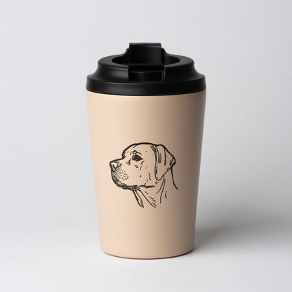 Labrador Everyday Set – Cosy Home