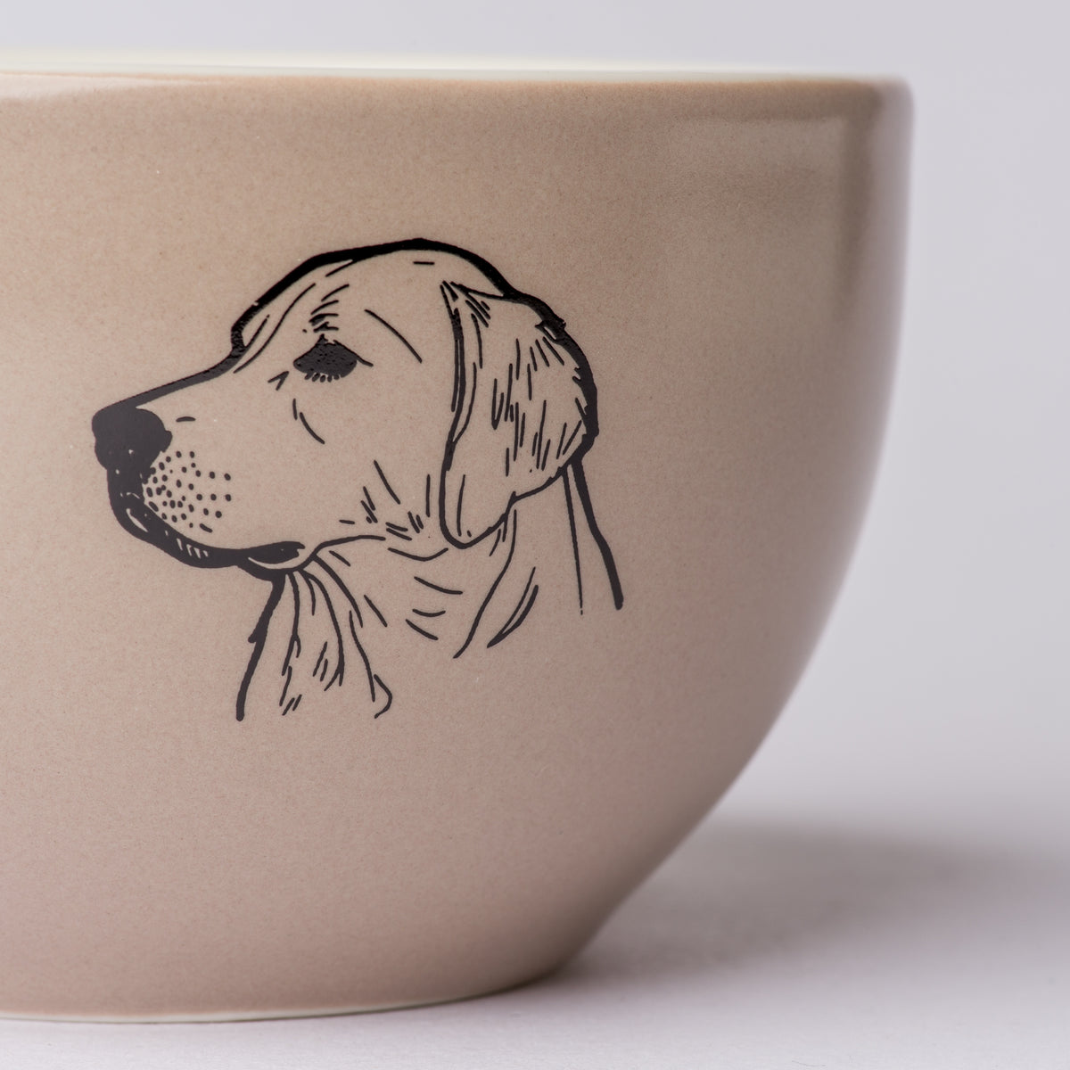 Golden Retriever Everyday Set – Cosy Home