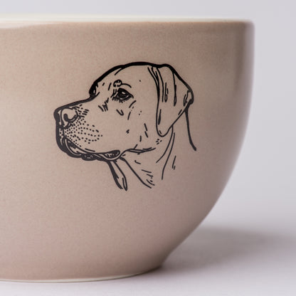 Labrador Everyday Set – Cosy Home