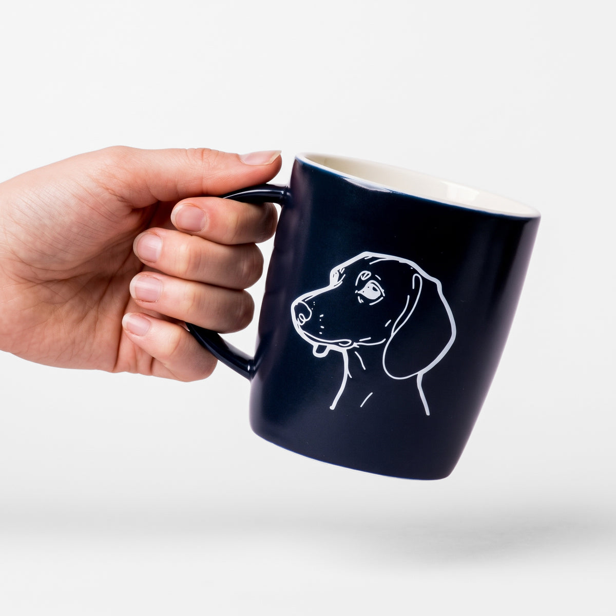 Dachshund Everyday Set – Urban Living