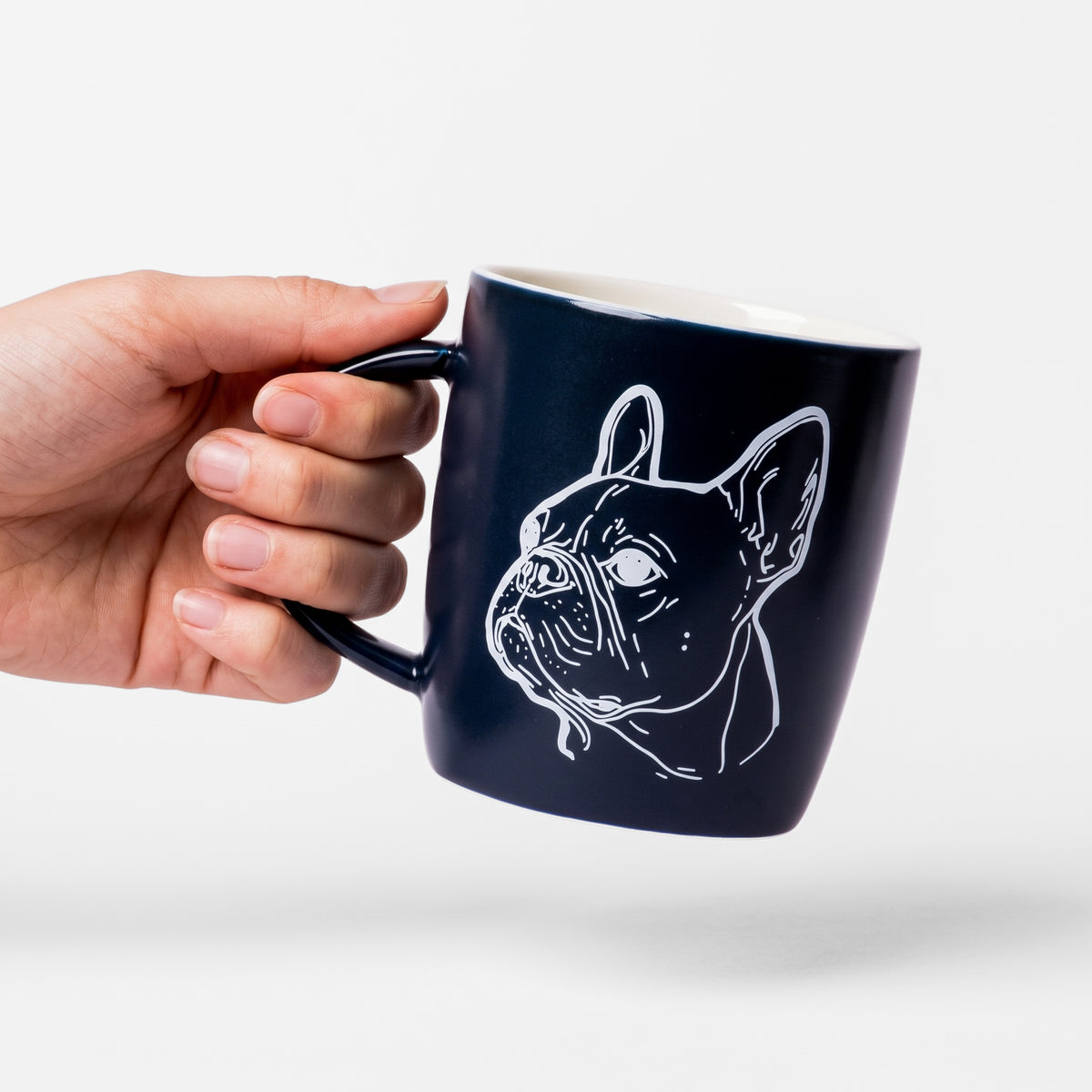 French Bulldog Everyday Set – Urban Living