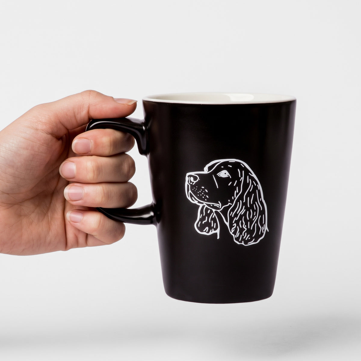 Spaniel Everyday Set – Outdoor Explorer